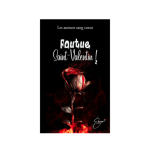 "Foutue Saint-Valentin 2 !" des auteurs sang coeur