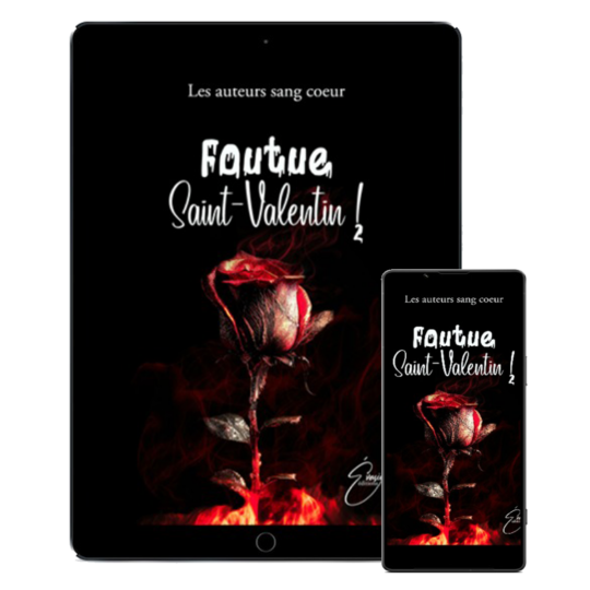 "Foutue Saint-Valentin 2 !" des Auteurs sang coeur